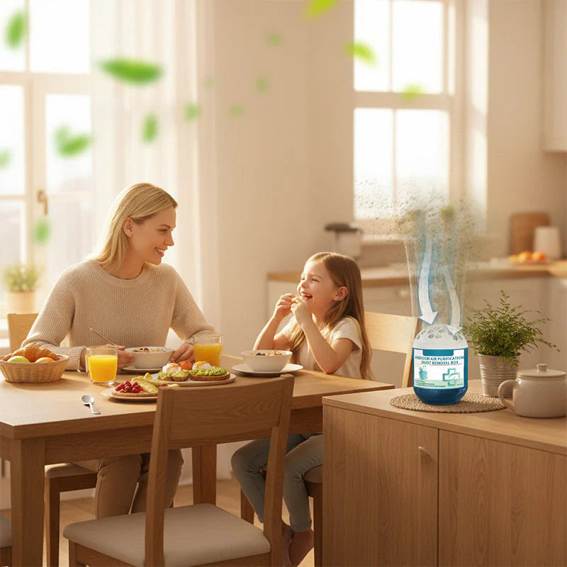 Indoor Air Purification Dust Removal Box